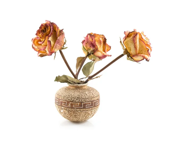 stock image Roses in ceramic vase