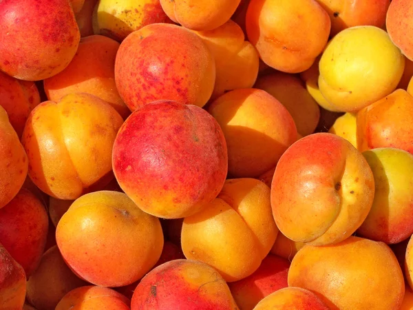 stock image Fresh apricot