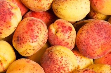 Many colourful red apricots clipart