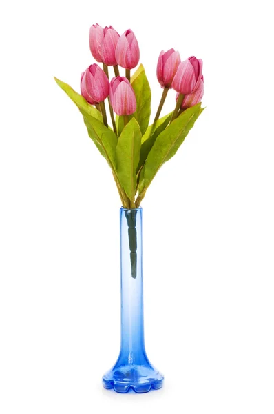 Maceta con tulipanes aislados en blanco — Foto de Stock