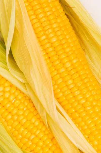 Extreme close up of yellowe corn cobs — Stock Photo, Image
