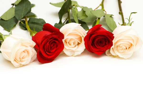 Molte rose isolate sul bianco — Foto Stock