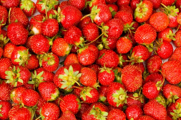 Frukt koncept - röda jordgubbar ordna — Stockfoto