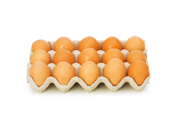 Muchos huevos en el cartón aislados — Foto de Stock