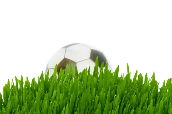 Sport koncept - fotboll på gräset — Stockfoto