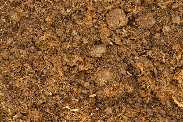 Закрытие почвы в качестве фона — стоковое фото