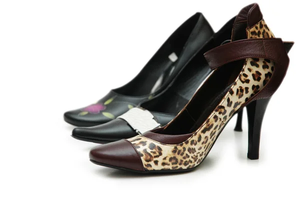Různé ženské boty — Stock fotografie