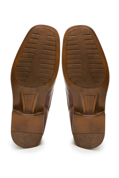 Enda av brun sko isolerat på vita — Stockfoto