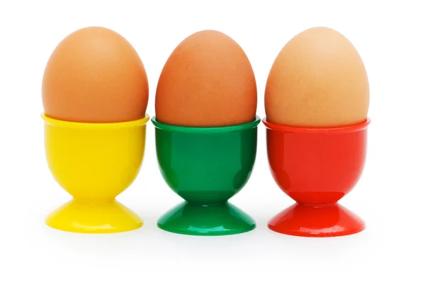 흰색 절연 홀더 갈색 달걀 — 스톡 사진