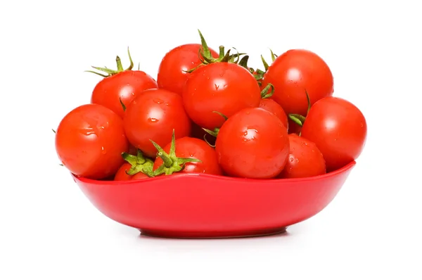 Mokrá celá rajčata uspořádány — Stock fotografie