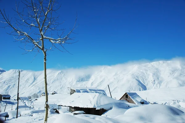 Strom a domy pod sněhem — Stock fotografie