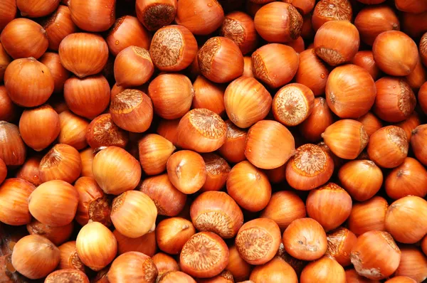 Hazel nuts arranged as the background — Stock Photo, Image