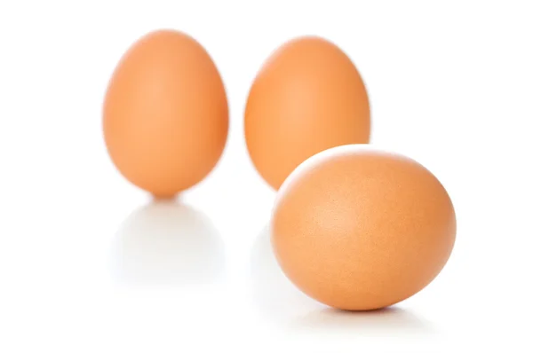Brązowy jajko na białym - płytkiej głębi do Internetu — Zdjęcie stockowe