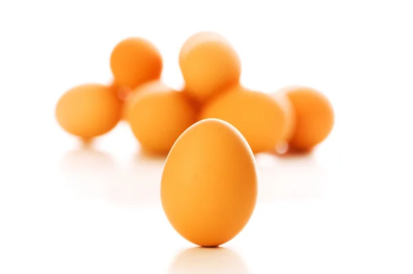 Brown egg on white - shallow depth of fi — Stock Photo, Image
