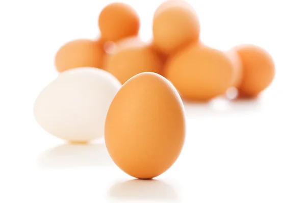 Brown egg on white - shallow depth of fi — Stock Photo, Image