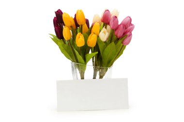 Tulips and blank message isolated clipart