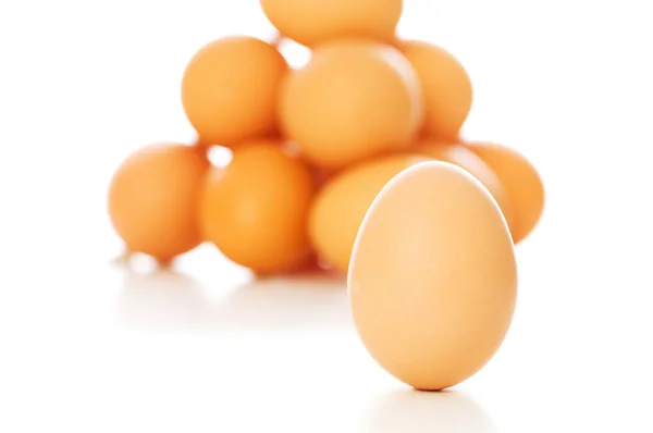 Muitos ovos em branco — Fotografia de Stock