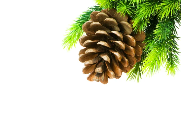Cono e albero di Natale isolato — Foto Stock