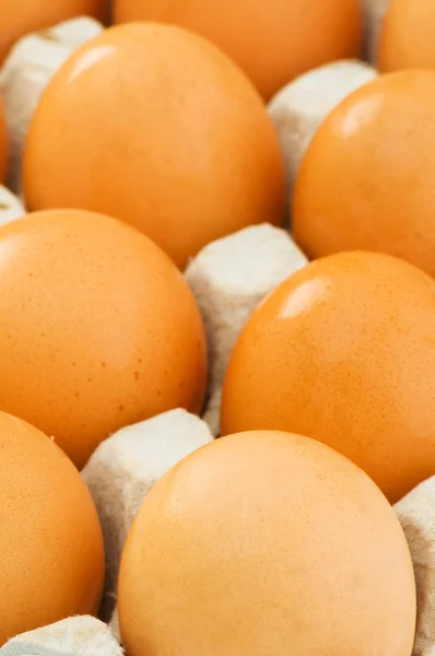 पुठ्ठामध्ये चिकन अंडी — स्टॉक फोटो, इमेज
