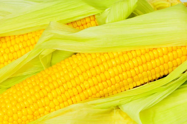 Ekstremalnych bliska z kolb kukurydzy — Zdjęcie stockowe