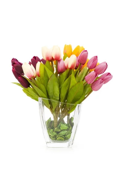 Tulipanes coloridos aislados en el blanco —  Fotos de Stock