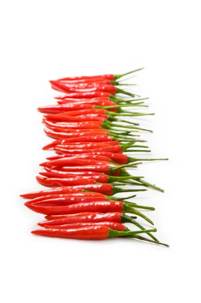 Red chili peppers isolated on the white — Stock Photo, Image