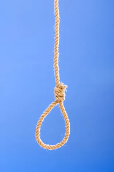 Noose made of rope against background — Stock Photo, Image