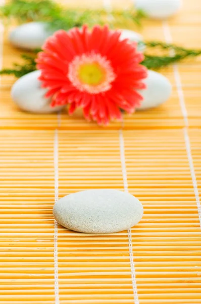 Red flower and stack of spa pebbles — Stock Photo, Image