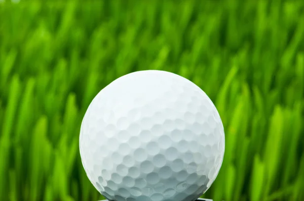 Boule de golf sur l'herbe verte — Photo