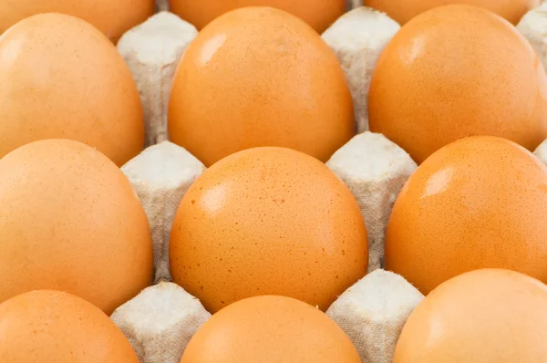 Uova di pollo nella scatola — Foto Stock