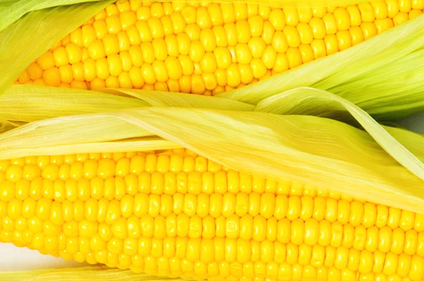 Ekstremalnych bliska z kolb kukurydzy — Zdjęcie stockowe
