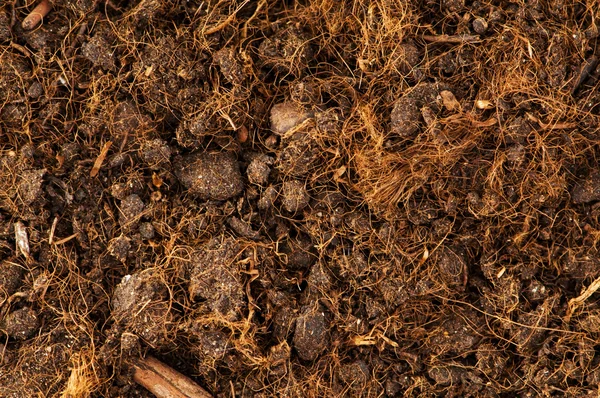 Bliska gleby jako tło — Zdjęcie stockowe