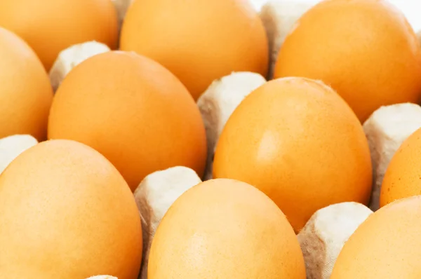 पुठ्ठामध्ये चिकन अंडी — स्टॉक फोटो, इमेज