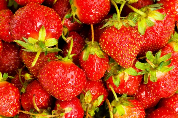 Veel van aardbeien — Stockfoto