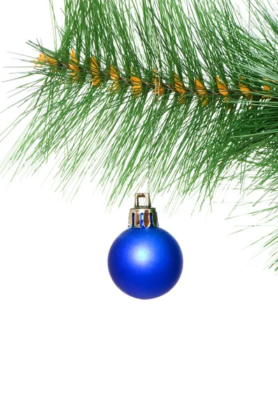 Christmas decoration on the tree — Stock Photo, Image