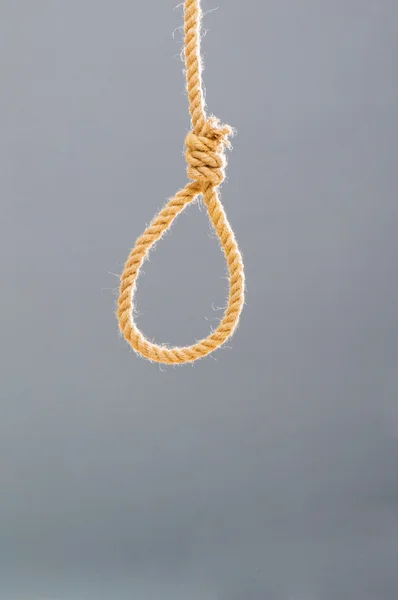 Noose made of rope — Stock Photo, Image