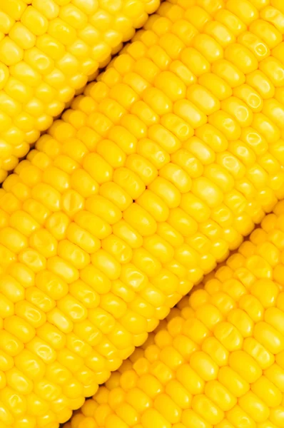 Extrémní zblízka žluté kukuřičné klásky — Stock fotografie