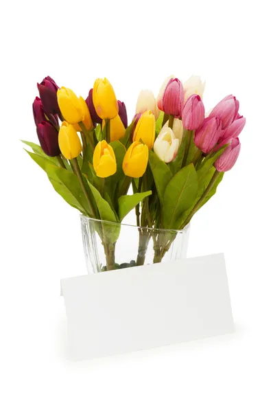 Tulipany i pustą wiadomość na białym tle — Zdjęcie stockowe
