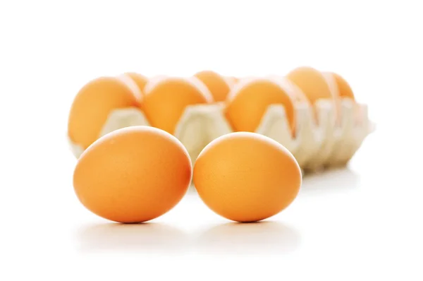 De nombreux œufs isolés — Photo
