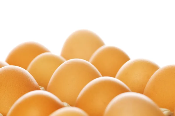 茶色の卵を白で隔離されます。 — ストック写真