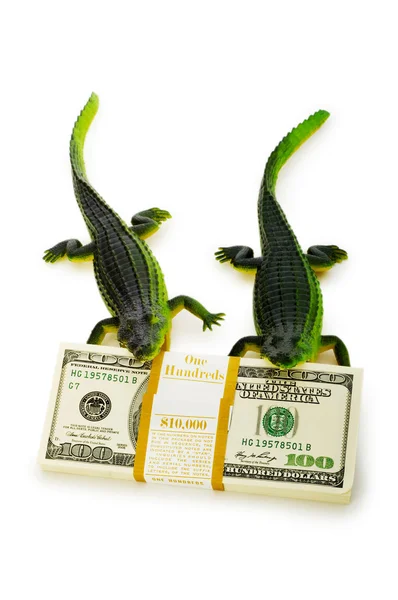 Stock image Two crocodiles fighting over dollars