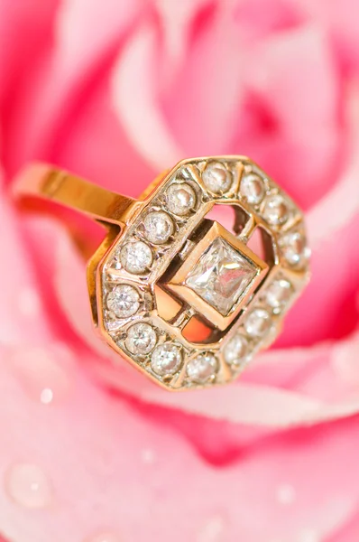 Золотое кольцо против розовой розы — стоковое фото