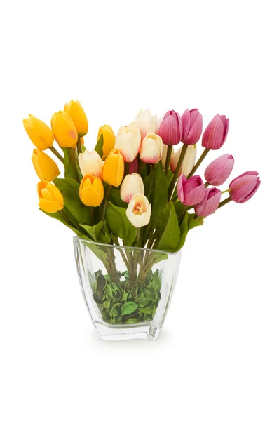 Цветные тюльпаны на белом — стоковое фото