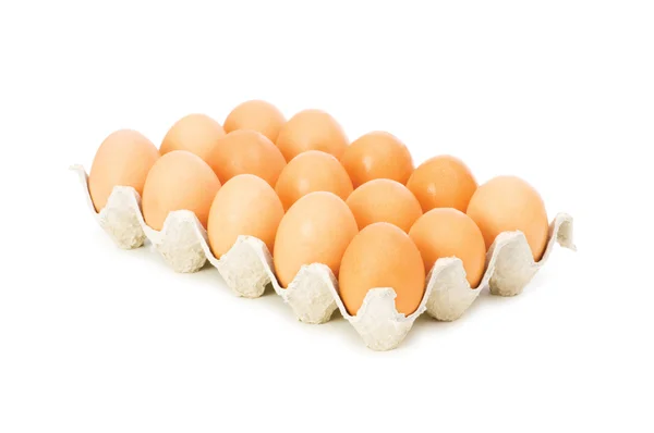 Πολλά αυγά στο πλαίσιο χαρτοκιβώτιο απομονωθεί — Φωτογραφία Αρχείου