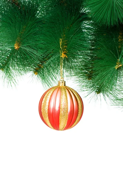 Christmas decoration on the tree Stock Photo