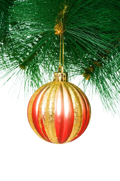 Christmas decoration on the tree Stock Image