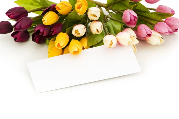 Tulips and blank message Stock Picture