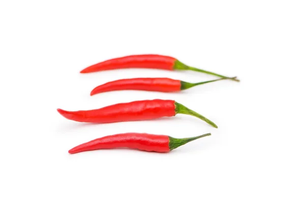 Červené chilli papričky, samostatný — Stock fotografie