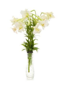 Lilies isolated on the white clipart