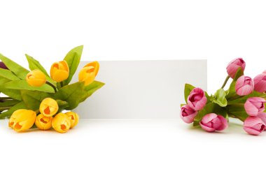 Tulips and blank message clipart